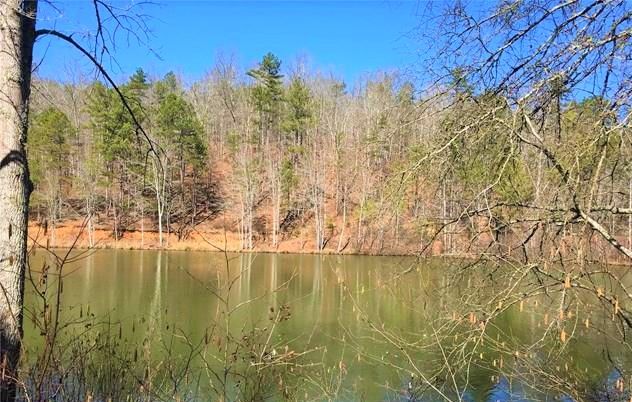 Lot 33 Woodgate Shores Dr: Lot 33 Woodgate Shores Dr, Wedowee, AL 36278